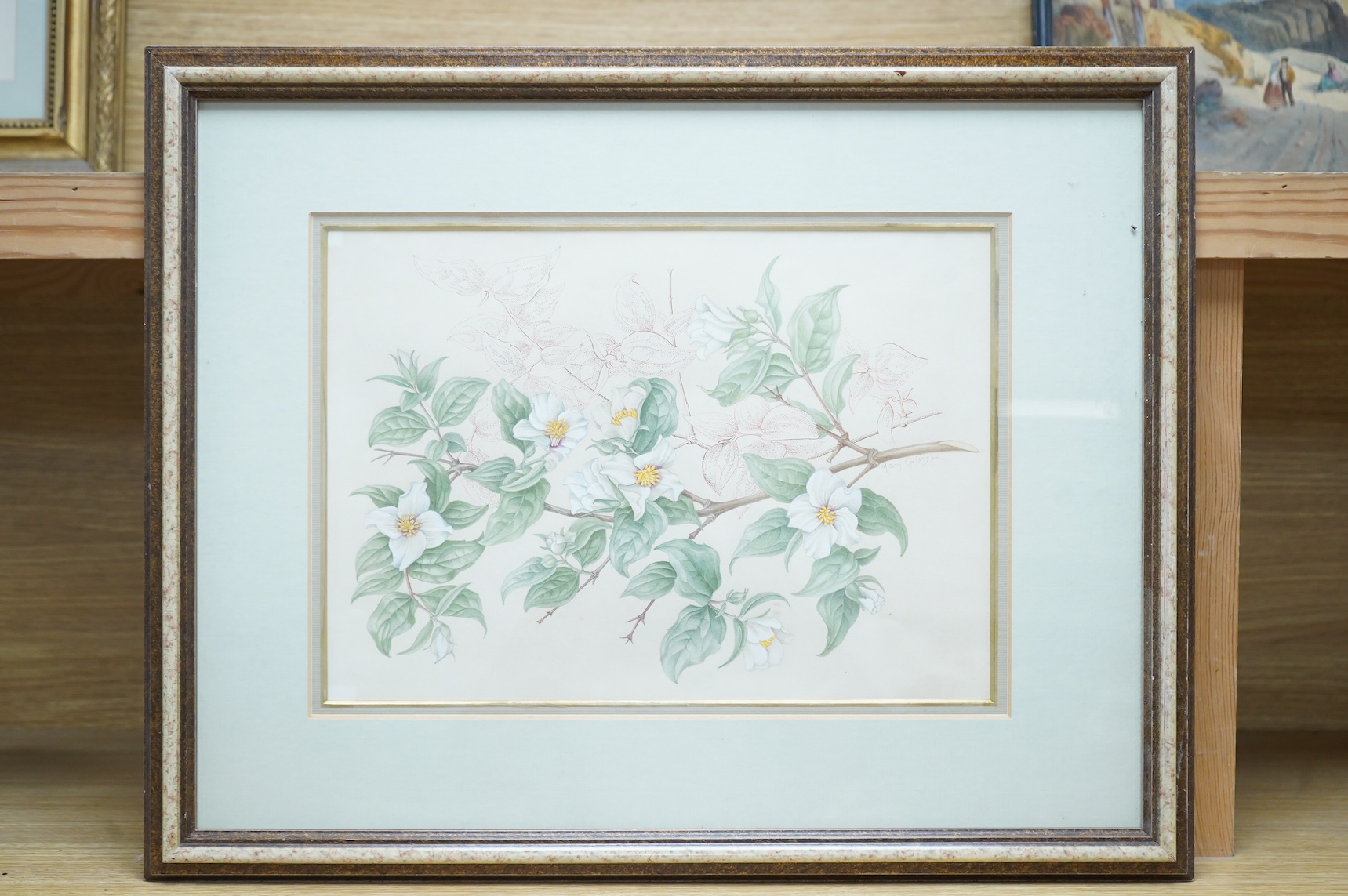 Mary Grierson (1912-2012), Study of flowers, signed, Spink label verso, watercolour heightened with white, 24 x 33cm